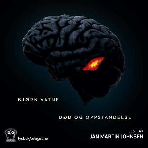Død og oppstandelse - roman