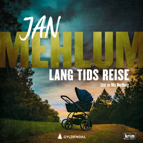 Lang tids reise - kriminalroman