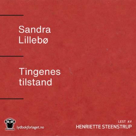 Tingenes tilstand - roman