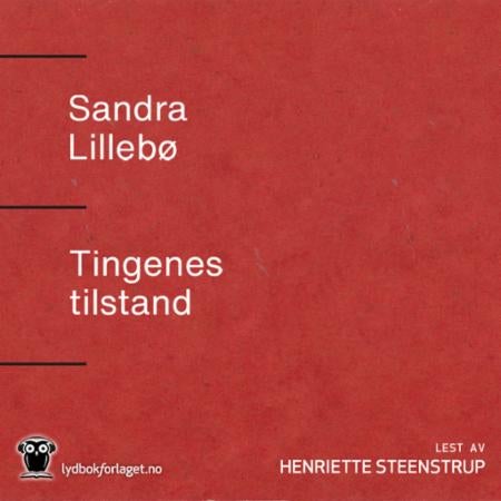 Tingenes tilstand - roman