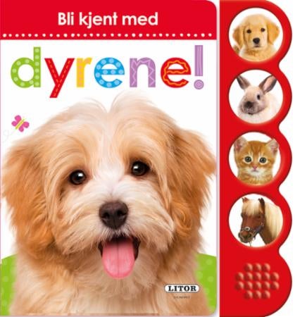 Bli kjent med dyrene!