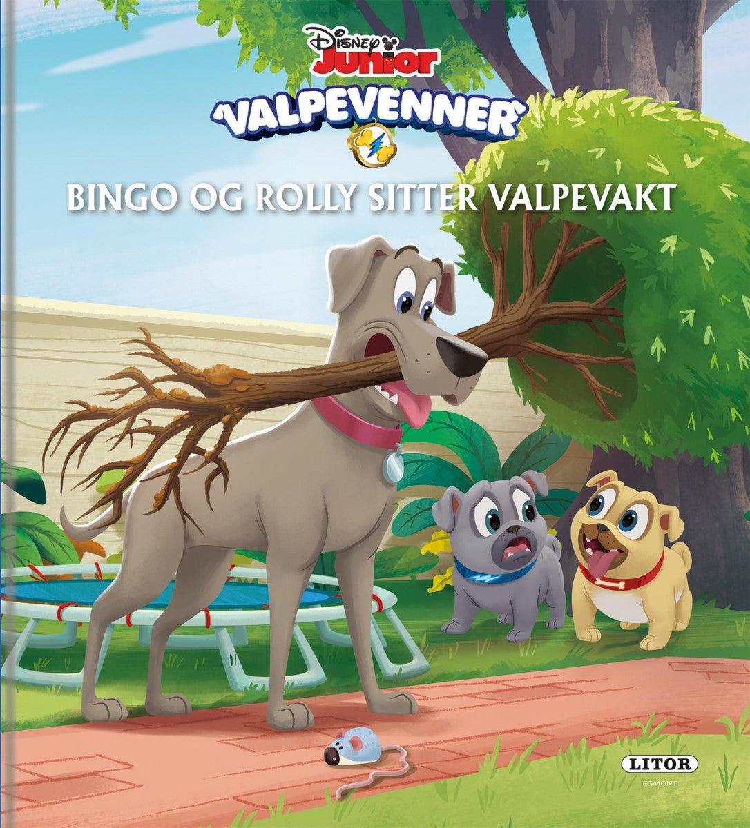 Bingo og Rolly sitter valpevakt!