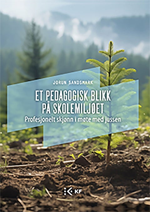 Et pedagogisk blikk på skolemiljøet - profesjonelt skjønn i møte med jussen