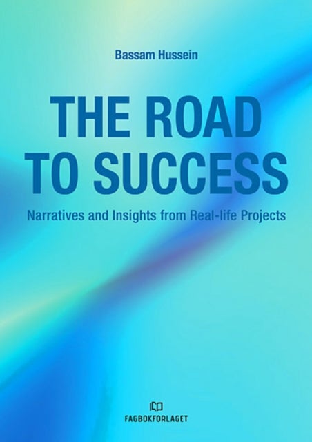 The road to success - narratives and Insights from real-life projects