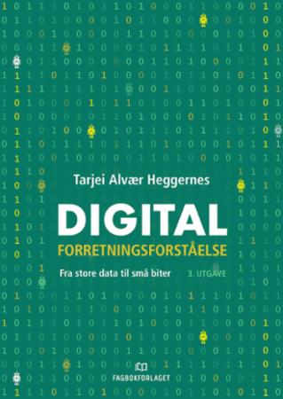 Digital forretningsforståelse - fra store data til små biter