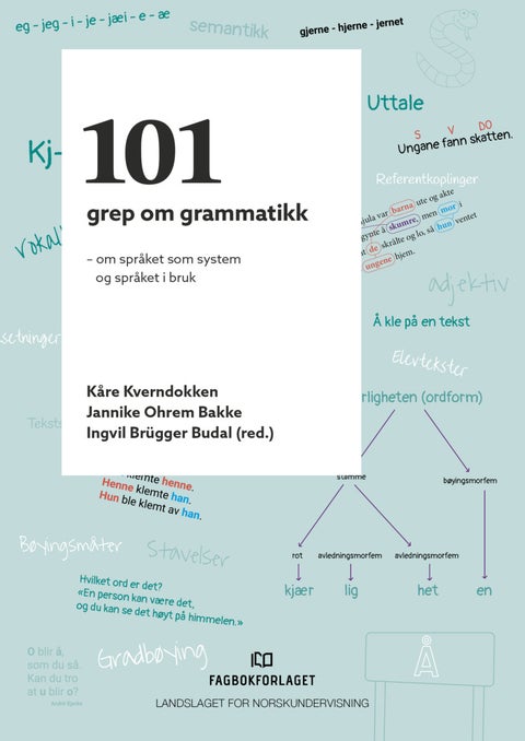 101 grep om grammatikk - om språket som system og språket i bruk