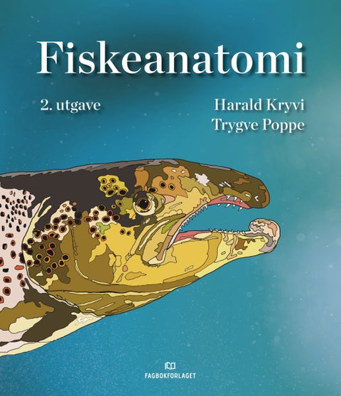 Fiskeanatomi