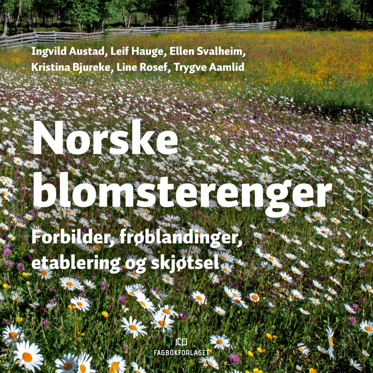Bilde av Norske Blomsterenger Av Trygve Sveen Aamlid, Ingvild Austad, Kristina Bjureke, Leif Hauge, Line Rosef, Ellen J. Svalheim