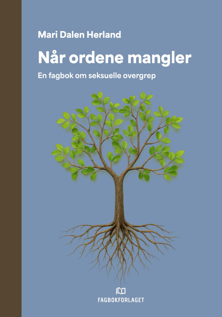 Når ordene mangler - en fagbok om seksuelle overgrep