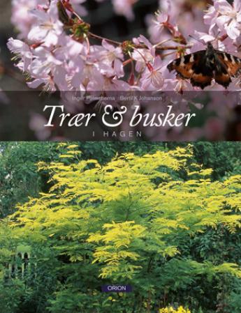 Trær og busker - i hagen