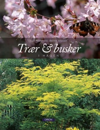 Trær og busker - i hagen