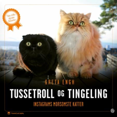 Tussetroll og Tingeling - Instagrams morsomste katter