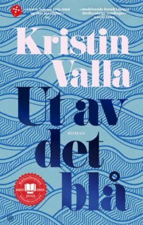 Ut av det blå - roman