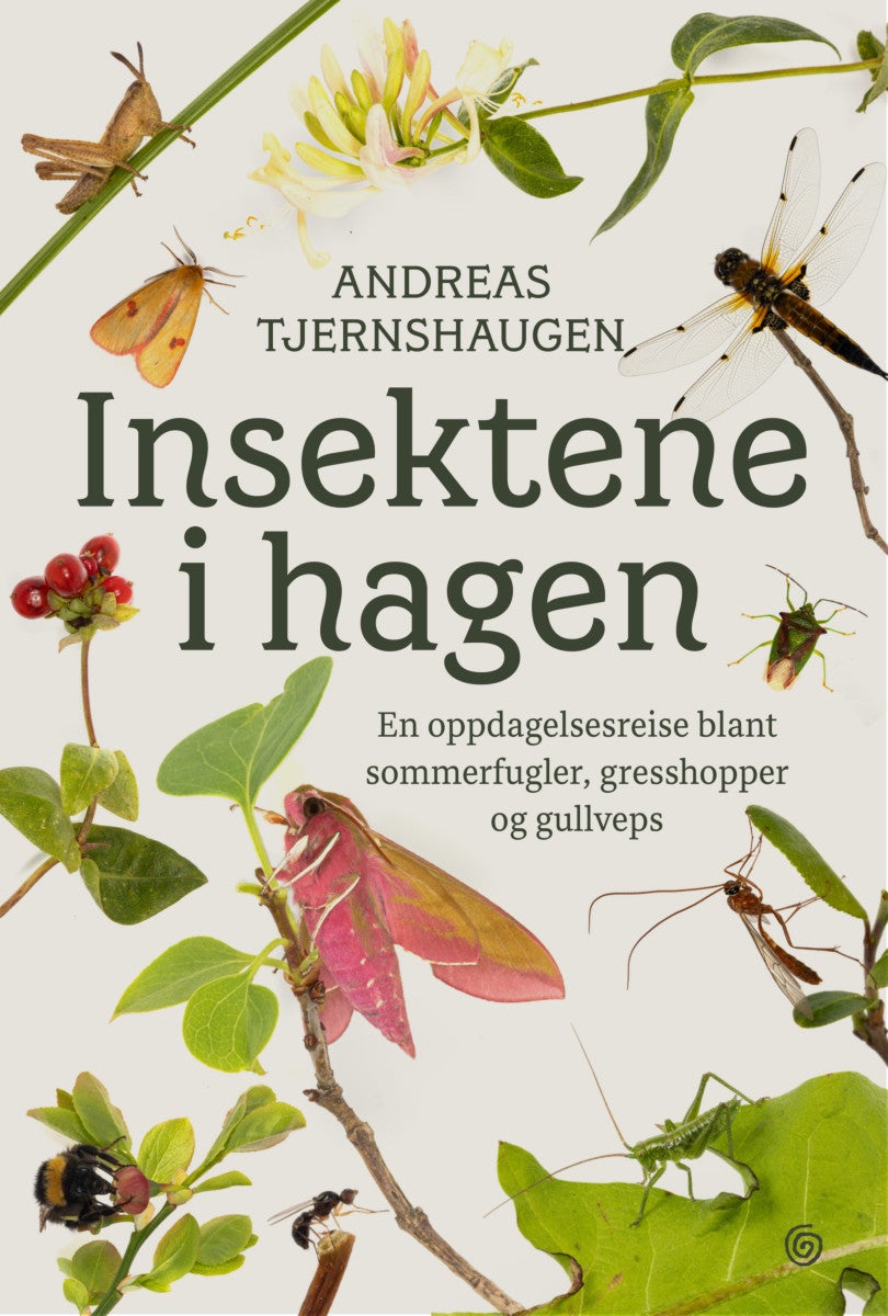 Bilde av Insektene I Hagen Av Andreas Tjernshaugen