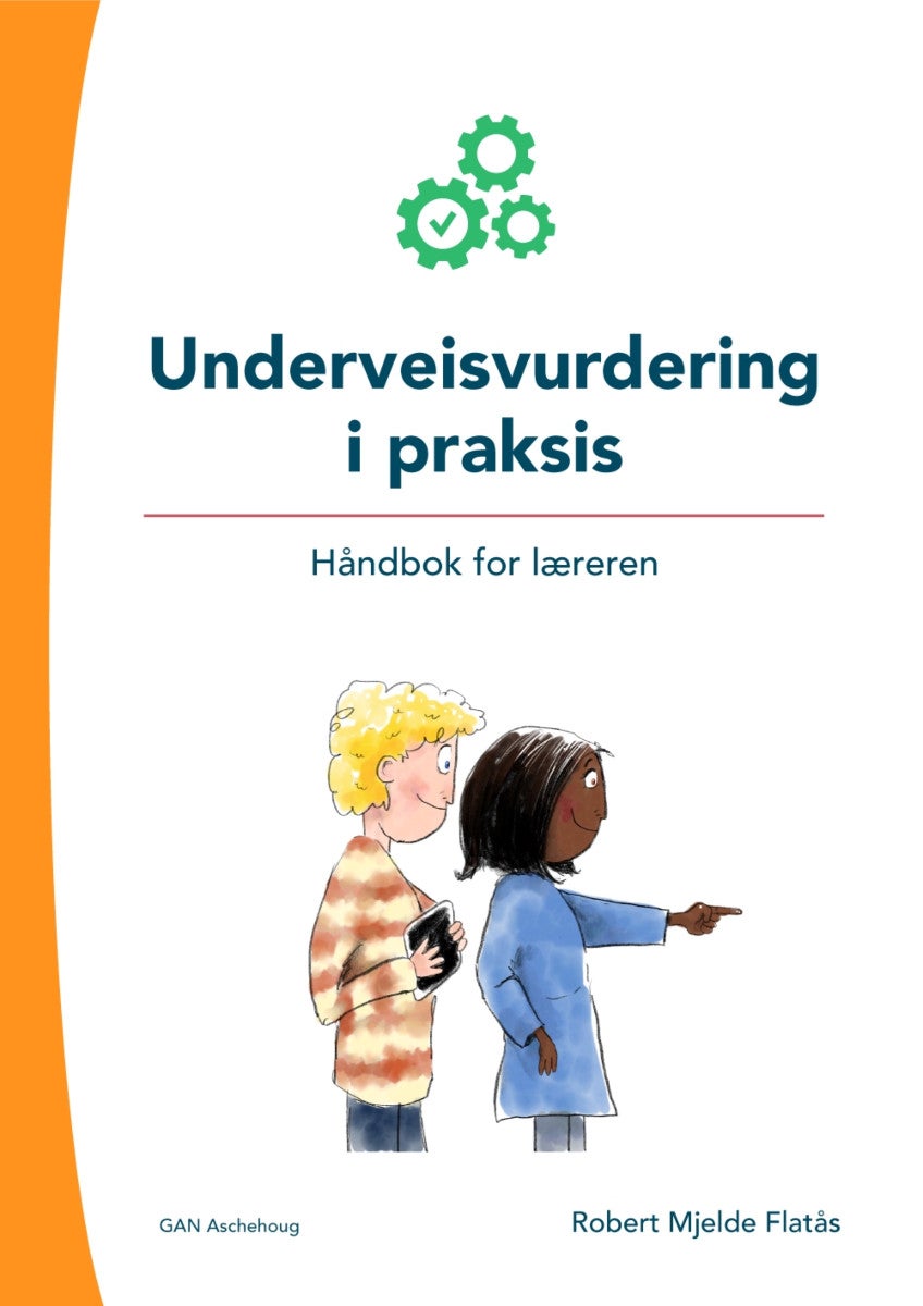 Underveisvurdering i praksis