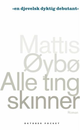 Alle ting skinner - roman