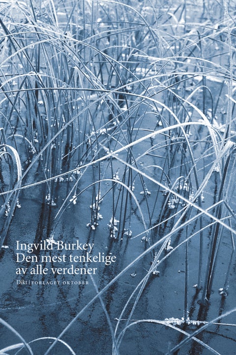 Den mest tenkelige av alle verdener - dikt