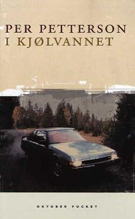 I kjølvannet - roman