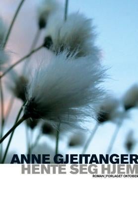 Hente seg hjem - roman