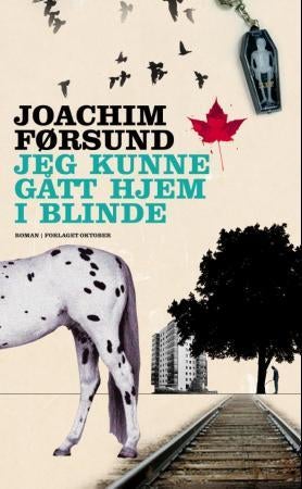 Jeg kunne gått hjem i blinde