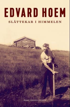 Slåttekar i himmelen - roman