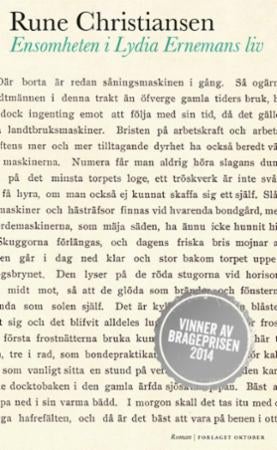 Ensomheten i Lydia Ernemans liv - roman