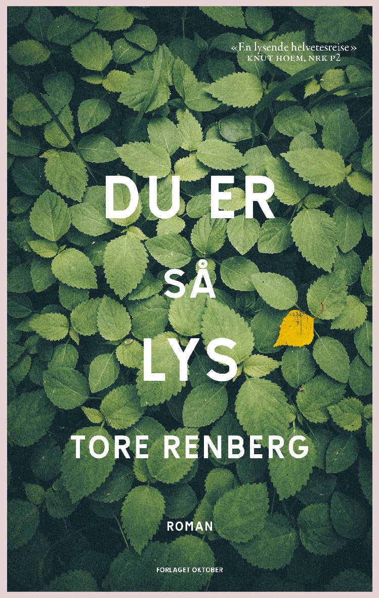Bilde av Du Er Så Lys Av Tore Renberg