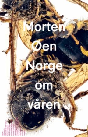 Norge om våren - roman