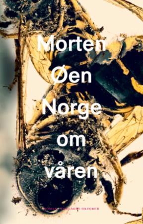 Norge om våren - roman