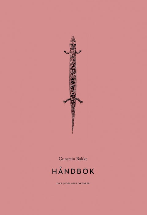 Håndbok - dikt