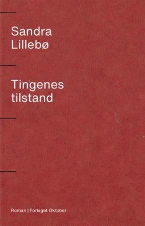 Tingenes tilstand - roman