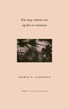 Ein dag vaknar me og det er sommar - roman