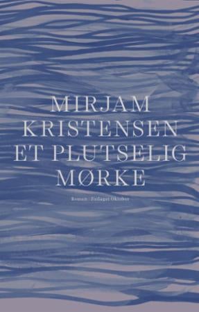 Et plutselig mørke - roman