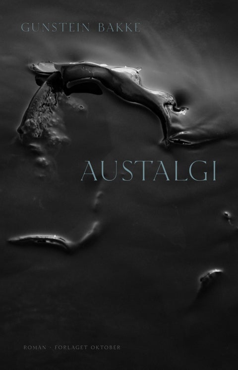Austalgi - roman