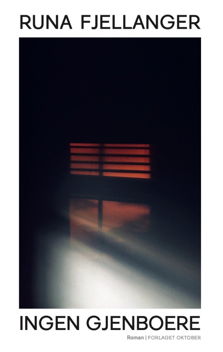 Ingen gjenboere - roman