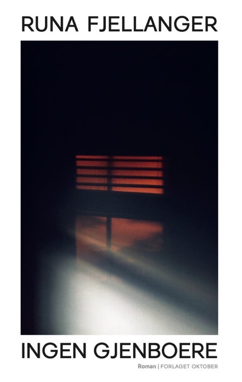 Ingen gjenboere - roman