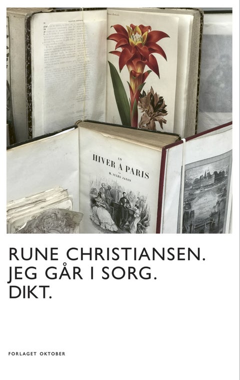 Jeg går i sorg - dikt