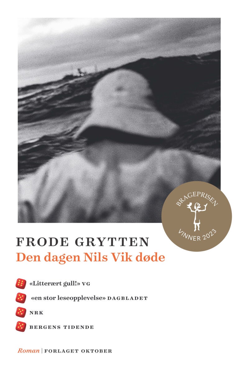 Den dagen Nils Vik døde - roman