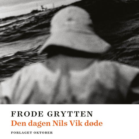 Den dagen Nils Vik døde - roman