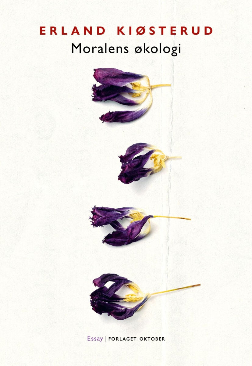 book cover thumbnail