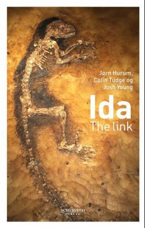 Ida - the link