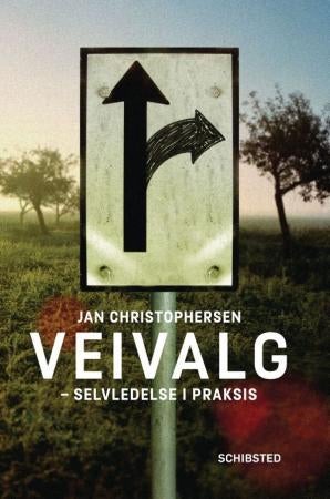 Veivalg - selvledelse i praksis