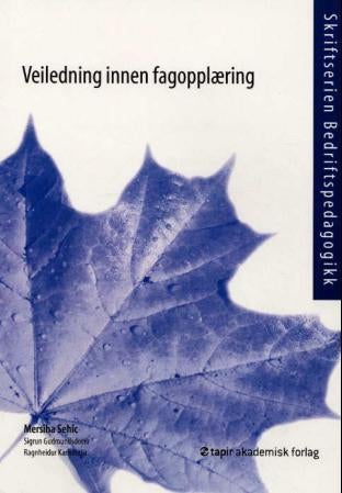 Veiledning innen fagopplæring