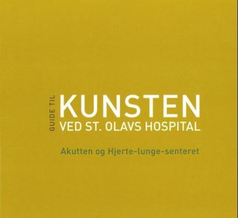 Visuelle vitaminer - akutten og hjerte-lunge-senteret : guide til kunsten ved St. Olavs hospital
