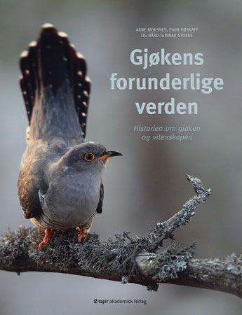 Gjøkens forunderlige verden - historien om gjøken og vitenskapen