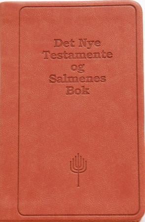 Det nye testamente og Salmenes bok