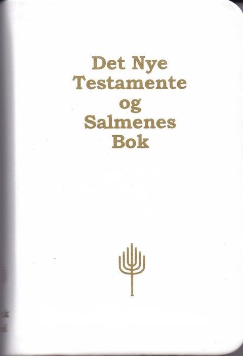 Det nye testamente og Salmenes bok
