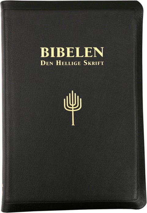 Bibelen - Den hellige skrift : Det gamle og Det nye testamentes kanoniske bøker