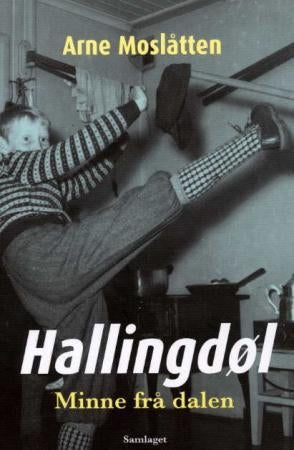 Hallingdøl - minne frå dalen