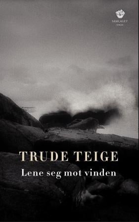 Lene seg mot vinden - roman